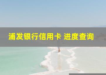 浦发银行信用卡 进度查询